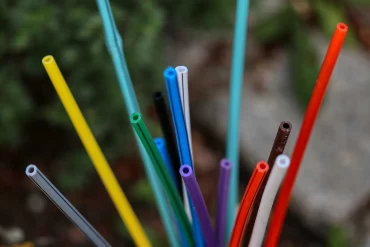 Quelle freebox choisir pour profiter pleinement de la fibre optique ?