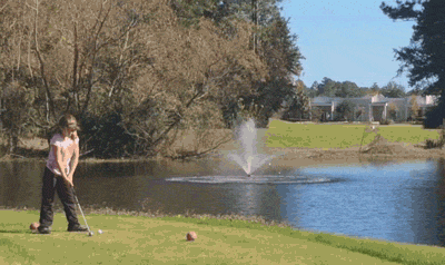 Gif animé
