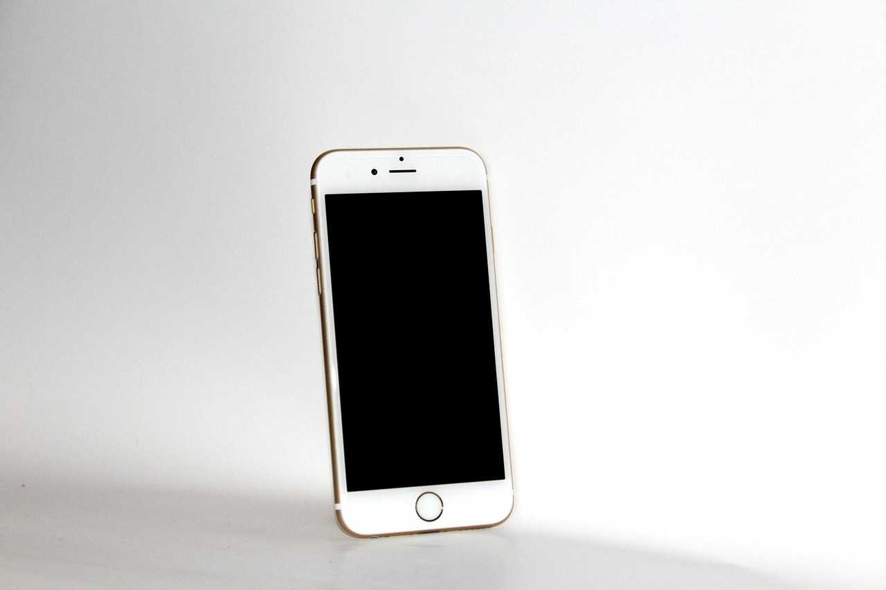 gallerie photo