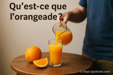 Qu'est-ce que l'orangeade et pourquoi la choisir ?